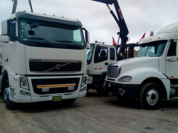 Flota - Transportes Challenger